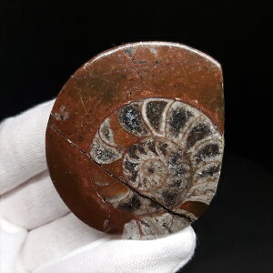 yzyAiCg/SjA^Cg/΁z Ð AiCg SjA^Cg  { bRY 54.51mm v[g Mtg ango32