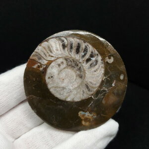 yzyAiCg/SjA^Cg/΁z Ð AiCg SjA^Cg  { bRY 53.10mm v[g Mtg ango37