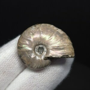 yzyAiCg/C{[/΁zVF AiCg C{[  { }_KXJY 26.69mm v[g Mtg anc62