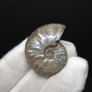 yzyAiCg/C{[/΁zVF AiCg C{[  { }_KXJY 30.52mm v[g Mtg anc65