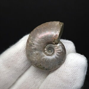 yzyAiCg/C{[/΁zVF AiCg C{[  { }_KXJY 28.39mm v[g Mtg anc66