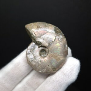 yzyAiCg/C{[/΁zVF AiCg C{[  { }_KXJY 43.81mm v[g Mtg anc71