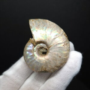 yzyAiCg/C{[/΁zVF AiCg C{[  { }_KXJY 49.80mm v[g Mtg anc74