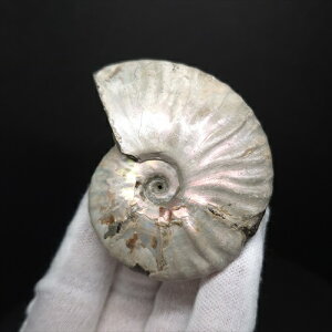 yzyAiCg/C{[/΁zVF AiCg C{[  { }_KXJY 69.29mm v[g Mtg anc76