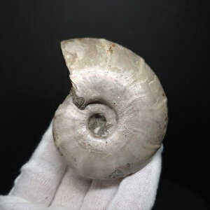 yzyAiCg/C{[/΁zVF AiCg C{[  { }_KXJY 72.22mm v[g Mtg anc79