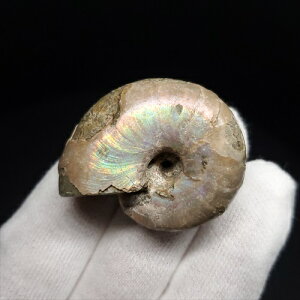 yzyAiCg/C{[/΁zVF AiCg C{[  { }_KXJY 34.67mm v[g Mtg anc22