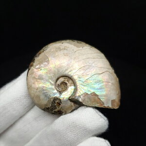 yzyAiCg/C{[/΁zVF AiCg C{[  { }_KXJY 37.99mm v[g Mtg anc25