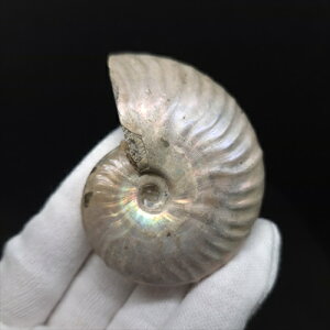 yzyAiCg/C{[/΁zVF AiCg C{[  { }_KXJY 61.12mm v[g Mtg anc29