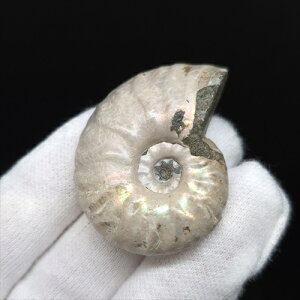 yzyAiCg/C{[/΁zVF AiCg C{[  { }_KXJY 38.62mm v[g Mtg anc36