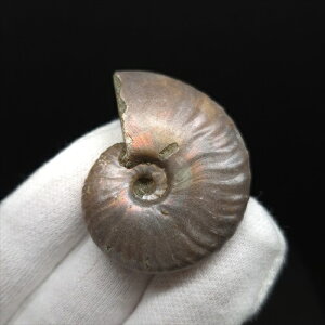 yzyAiCg/C{[/΁zVF AiCg C{[  { }_KXJY 39.18mm v[g Mtg anc37