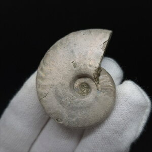 yzyAiCg/C{[/΁zVF AiCg C{[  { }_KXJY 39.17mm v[g Mtg anc38