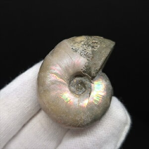 yzyAiCg/C{[/΁zVF AiCg C{[  { }_KXJY 37.37mm v[g Mtg anc39