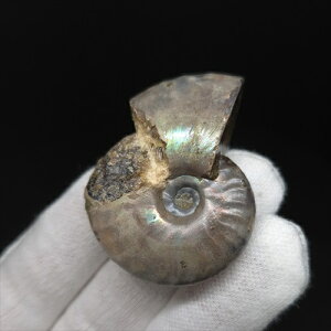 yzyAiCg/C{[/΁zVF AiCg C{[  { }_KXJY 41.57mm v[g Mtg anc44