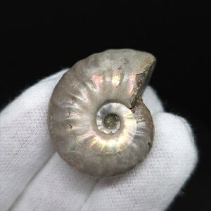 yzyAiCg/C{[/΁zVF AiCg C{[  { }_KXJY 32.72mm v[g Mtg anc48