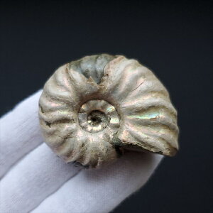 yzyAiCg/C{[/΁zVF AiCg C{[  { }_KXJY 47.39mm v[g Mtg anc5