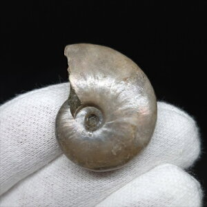 yzyAiCg/C{[/΁zVF AiCg C{[  { }_KXJY 28.58mm v[g Mtg anc51