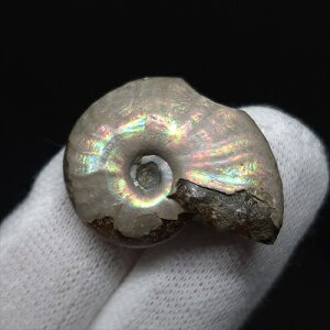 yzyAiCg/C{[/΁zVF AiCg C{[  { }_KXJY 28.41mm v[g Mtg anc57