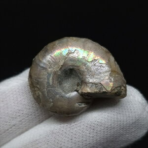 yzyAiCg/C{[/΁zVF AiCg C{[  { }_KXJY 28.01mm v[g Mtg anc58