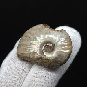 yzyAiCg/C{[/΁zVF AiCg C{[  { }_KXJY 30.45mm v[g Mtg anc59