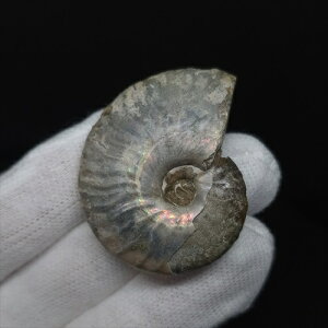 yzyAiCg/C{[/΁zVF AiCg C{[  { }_KXJY 40.17mm v[g Mtg anc61