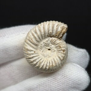 yzyAiCg/yXtBNeX/΁zɏ AiCg yXtBNeX  { }_KXJY 23.75mm v[g Mtg anp118