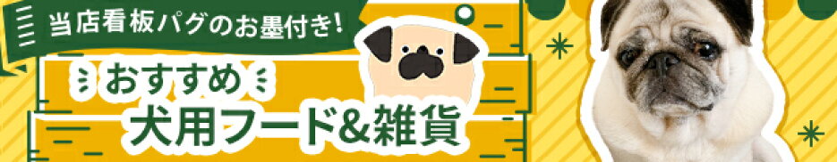 犬 ペット ごはん おやつ ゼリー 無添加 パグ pug いぬ わん おいしい 食いつき