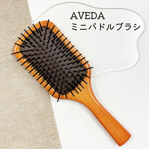 AVEDA �p�h���u���V �~�j �w�A�P�A �u���V �� ���̖� ������ �������� �w�A�u���V �v���[���g �M�t�g ���� ���� �u���V �u���b�V���O ���s�A���i