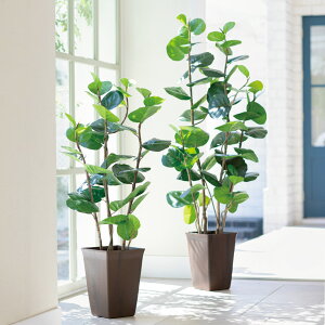 ፂ120cmCTG}H V[N[v tFCN CeAO[ lHϗtA  G88021 _r[Ly[JÒ^