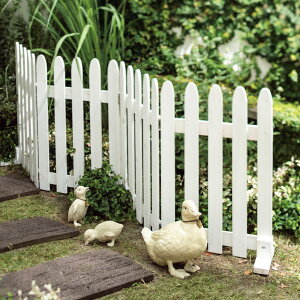 ylCiɎgN[| 11^3z VRؐ4AtFX G85006 _r[Ly[JÒ^