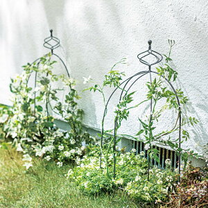 n[tIxXN 2g K[fjOObY ECC083 _r[Ly[JÒ^