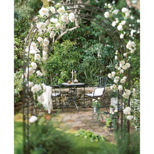 AeB[NACAA[` G85007 _r[Ly[JÒ^