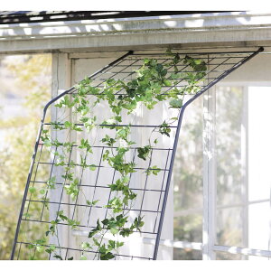 ACAO[J[eqsLXnC^Cvr 2Zbg G86703 _r[Ly[JÒ^