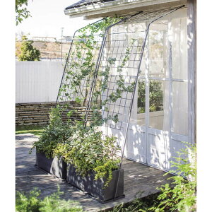 ACAO[J[eqsLXnC^Cvr v^[t 2Zbg G86705 _r[Ly[JÒ^