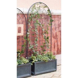 v^[tChgXqO[r EhnC^Cv G86606 _r[Ly[JÒ^