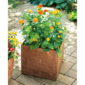 A[gXg[v^[ L[uL v^[ Aؔ Jo[ G95312 _r[Ly[JÒ^