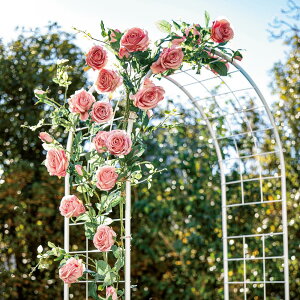 ylCiɎgN[| 11^11 1F59z TCYƗ߂₷ɂA[` 3{g G86406 _r[Ly[JÒ^