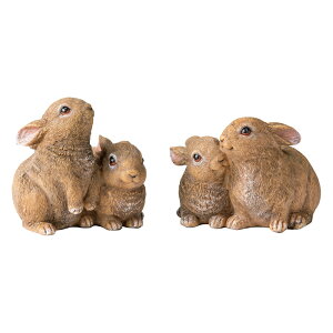 ylCiɎgN[| 11^11 1F59z 2Zbg K[f u G86312 _r[Ly[JÒ^