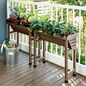 ؉v^[ XxWgO v^[ Aؔ Jo[ 547206 _r[Ly[JÒ^