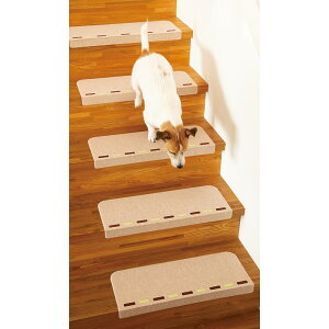 _LINEFo^500~ItN[|^ z܂ȂtKi}bg ~C^Cv 55s21 ybgpi 612772