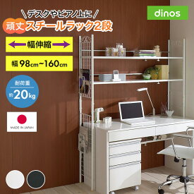 【最大8000円OFFクーポン 11月11日1：59迄】 壁面を有効活用できる 幅伸縮 頑丈ラック 2段 スチール メタルラック 本棚 ラック シェルフ 588417