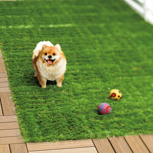 yő8000~OFFN[| 12^11 1F59z lHŁ{2.2cmIx[XAbvfbL lH ǉ18 H80823 _LINEFo^500~ItN[|^