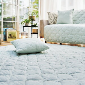 yő8000~OFFN[| 11111F59z 2.5l|EA[Ȃ 􂦂Ȗ\t@Jo[ l|\t@[Jo[ \t@[Jo[ 562707