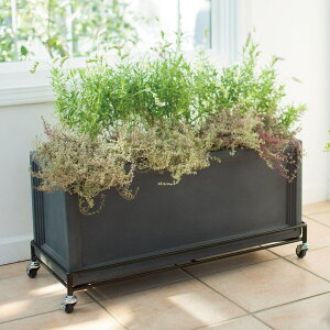 yő7000~OFFN[| 1116z ACALX^[t ` t[X^h v^[X^h ԑ G95309