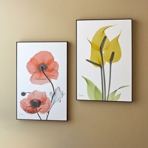 yő8000~OFFN[| 11111F59z X-RAY/GbNXC A[gt[ 41cm×61cm G A[gt[ A[g EH[fR[V H82601