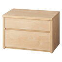 【最大8000円OFFクーポン 1／16 1：59迄】 耐荷重100kg！組立不要 収納庫付ベンチ 引き出しタイプ・幅60cm奥行41cm 玄…