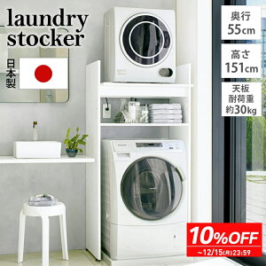 yő8000~OFFN[| 12^11 1F59z  t̂悤Ȋ@u s55cm^Cv 77cm151cm iΉ bN [ h@ ǖʎ[ [I I It  