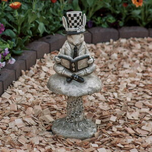 yő5000~OFFN[| 11^3z ̃p[eB[V[Y ̂ K[f u G87423