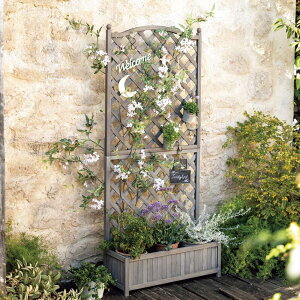 yő8000~OFFN[| 11111F59z ؐtFX i180cmj G86209