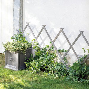 yő8000~OFFN[| 11271F59z LkbBtFX  G87906