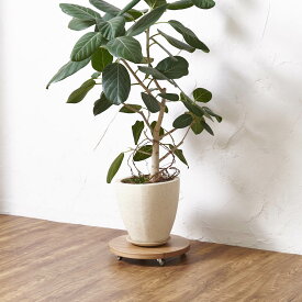 【クーポン8月20日迄】 無垢材のキャスター付き プランターベース ホワイトオーク 径24cm 日用品 便利グッズ 生活雑貨 H01818 ＼LINE友だち登録でクーポン／